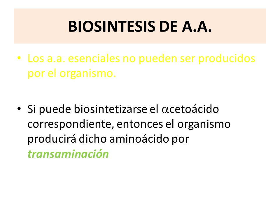 BIOSINTESIS DE A.A. Los a.a. esenciales no pueden ser producidos por el organismo.