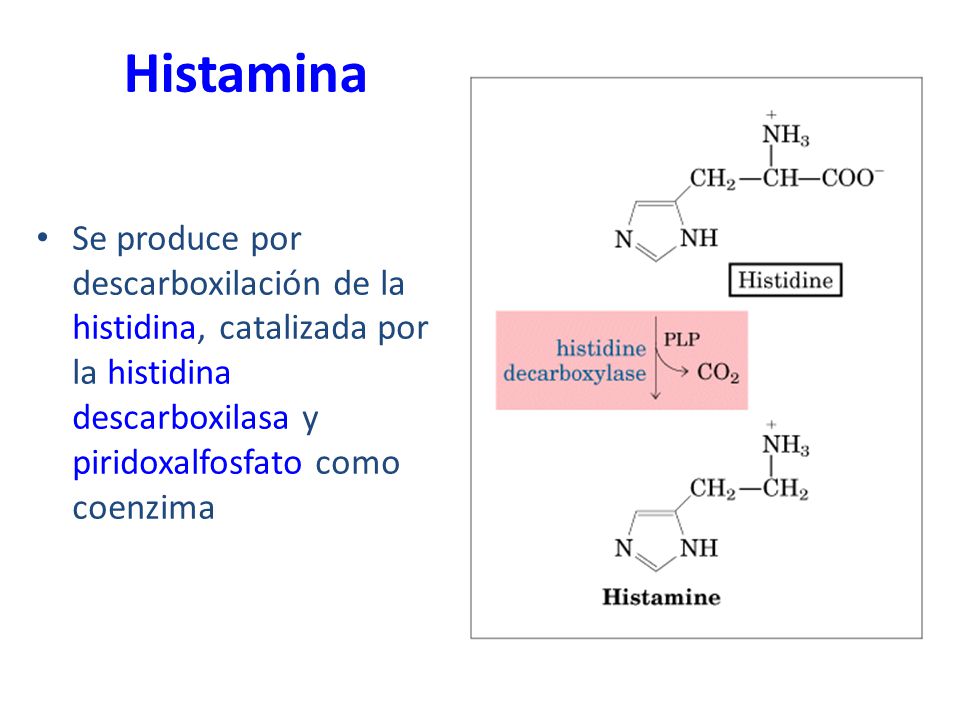 Histamina Se produce por descarboxilación de la histidina, catalizada por la histidina descarboxilasa y piridoxalfosfato como coenzima.