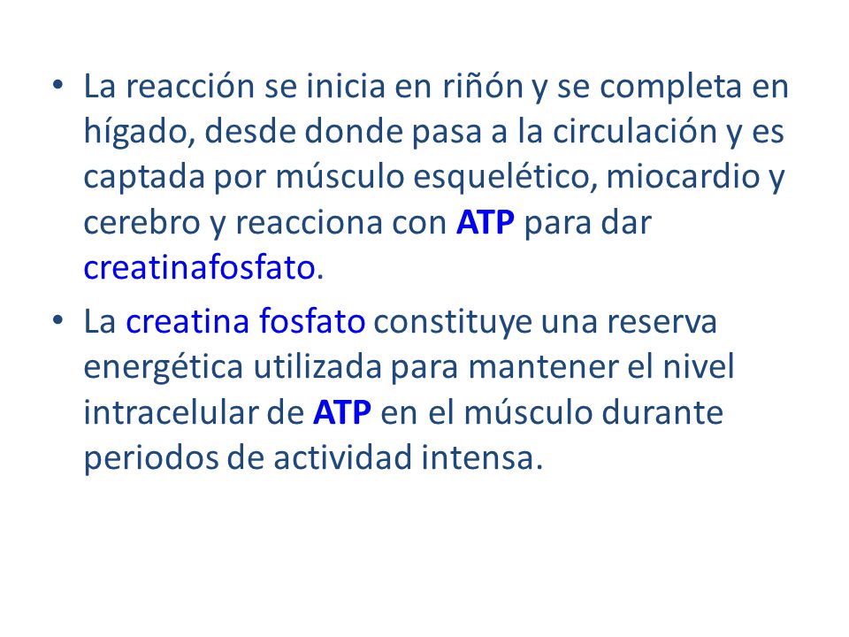 La reacción se inicia en riñón y se completa en hígado, desde donde pasa a la circulación y es captada por músculo esquelético, miocardio y cerebro y reacciona con ATP para dar creatinafosfato.