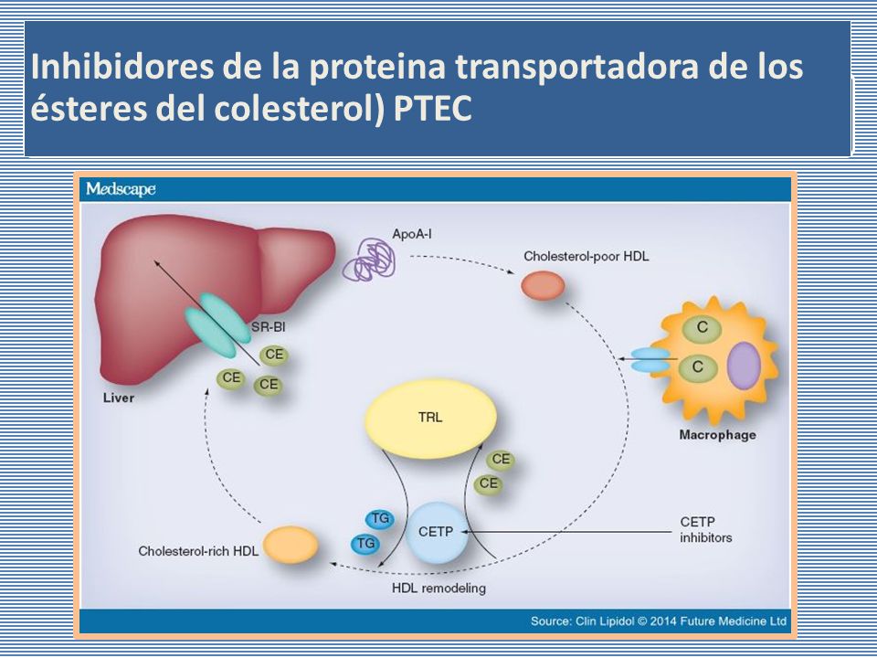 Inhibidores de la proteina transportadora de los ésteres del colesterol) PTEC