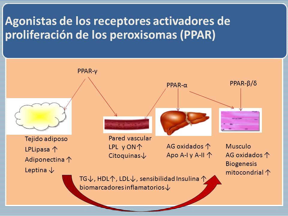 Agonistas de los receptores activadores de proliferación de los peroxisomas (PPAR)