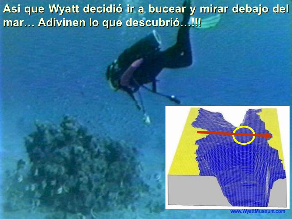 Asi que Wyatt decidió ir a bucear y mirar debajo del mar… Adivinen lo que descubrió…!!!