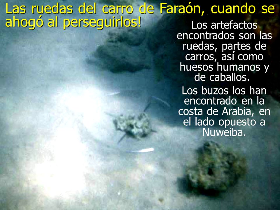 Las ruedas del carro de Faraón, cuando se ahogó al perseguirlos!