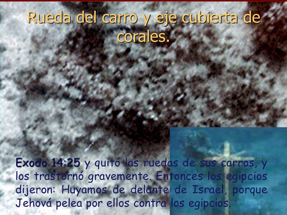 Rueda del carro y eje cubierta de corales.