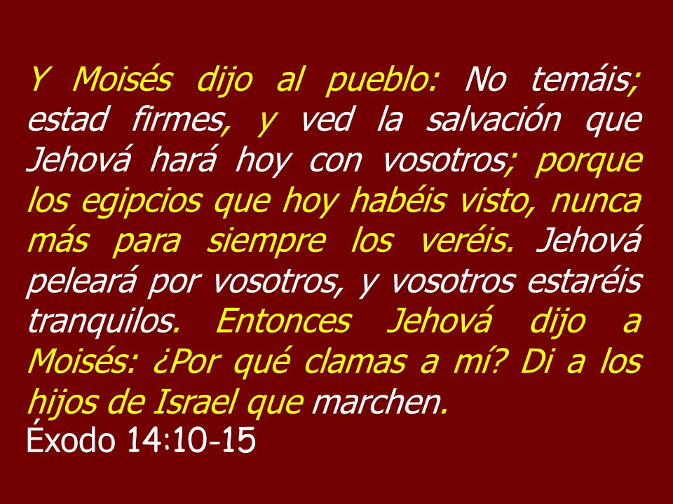 Y Moisés dijo al pueblo: No temáis; estad firmes, y ved la salvación que Jehová hará hoy con vosotros; porque los egipcios que hoy habéis visto, nunca más para siempre los veréis. Jehová peleará por vosotros, y vosotros estaréis tranquilos. Entonces Jehová dijo a Moisés: ¿Por qué clamas a mí Di a los hijos de Israel que marchen.