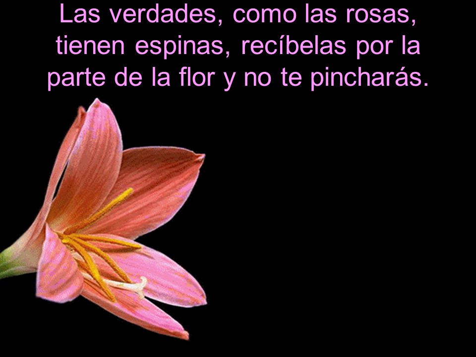 Las verdades, como las rosas, tienen espinas, recíbelas por la parte de la flor y no te pincharás.