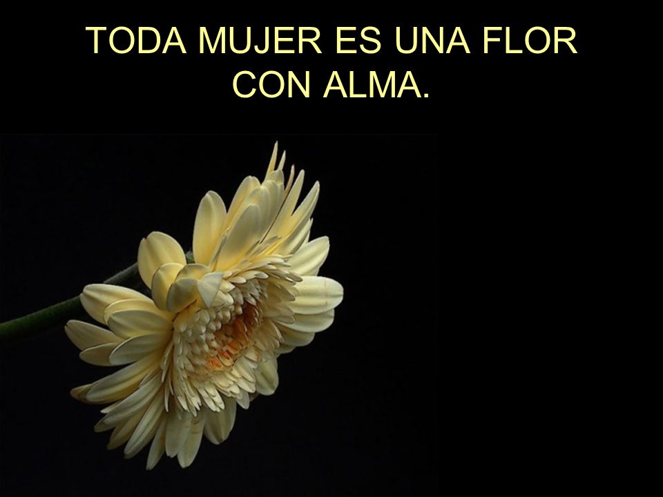 TODA MUJER ES UNA FLOR CON ALMA.