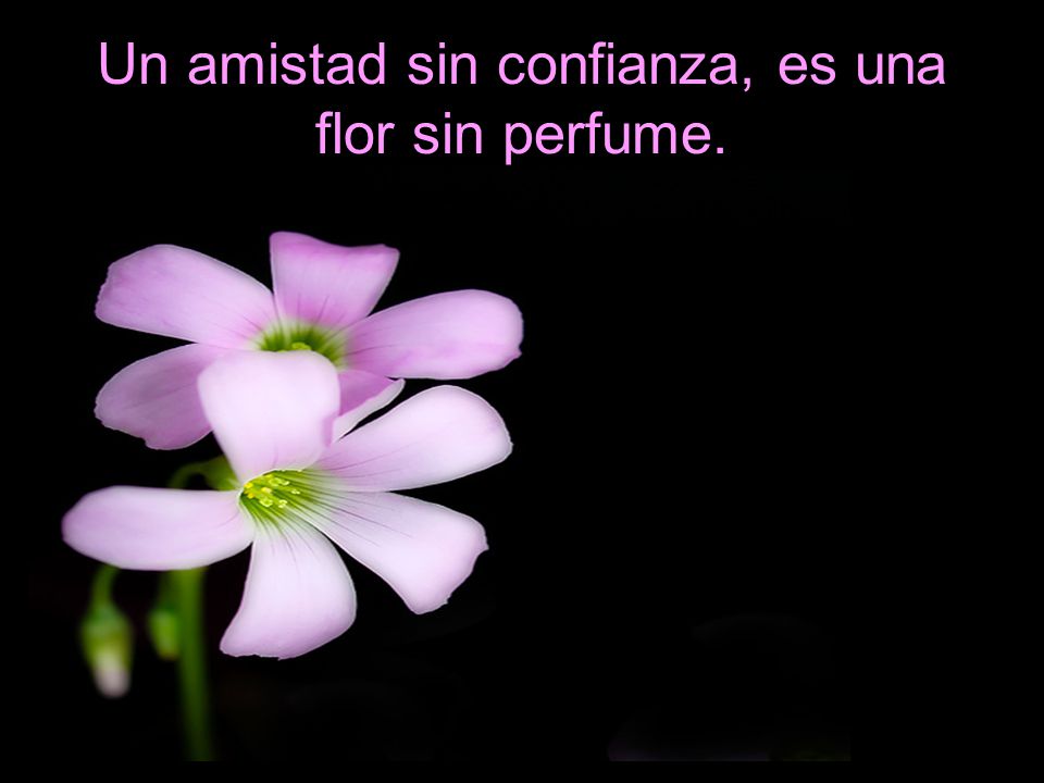Un amistad sin confianza, es una flor sin perfume.