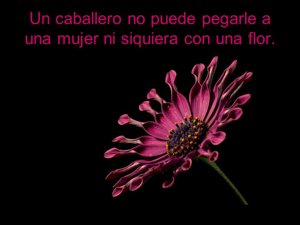 Un caballero no puede pegarle a una mujer ni siquiera con una flor.