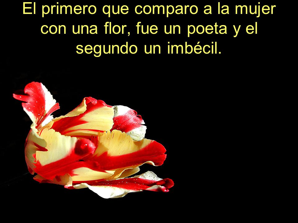 El primero que comparo a la mujer con una flor, fue un poeta y el segundo un imbécil.