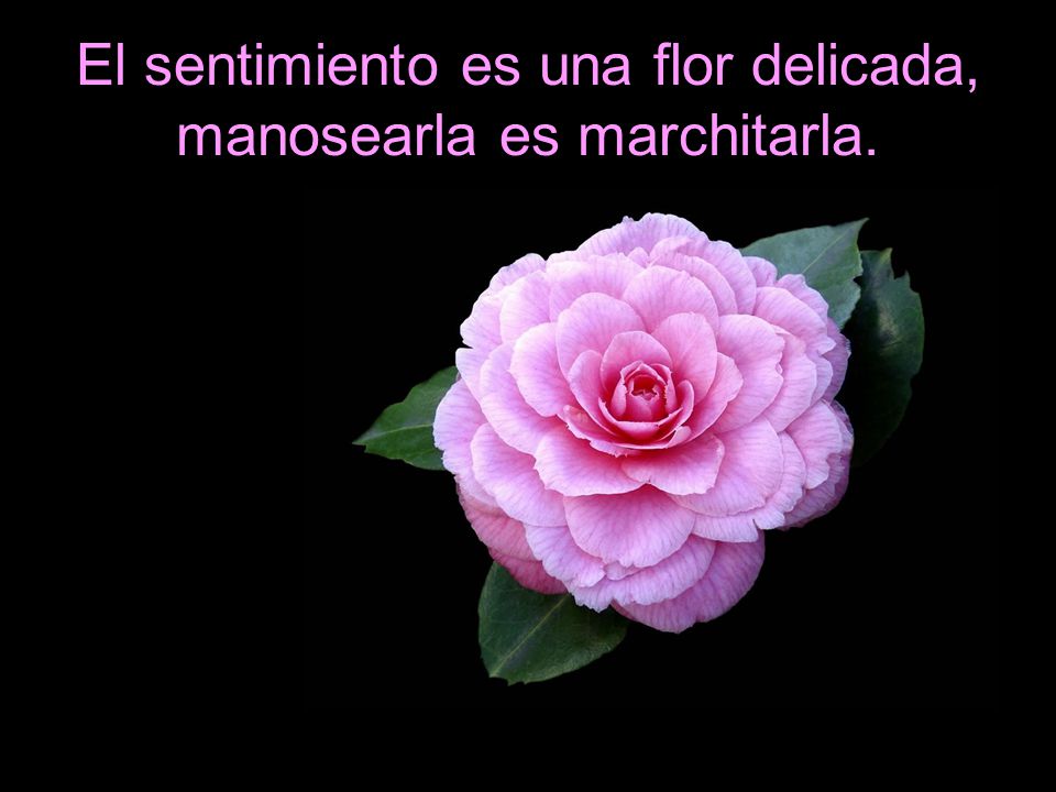 Imagen relacionada