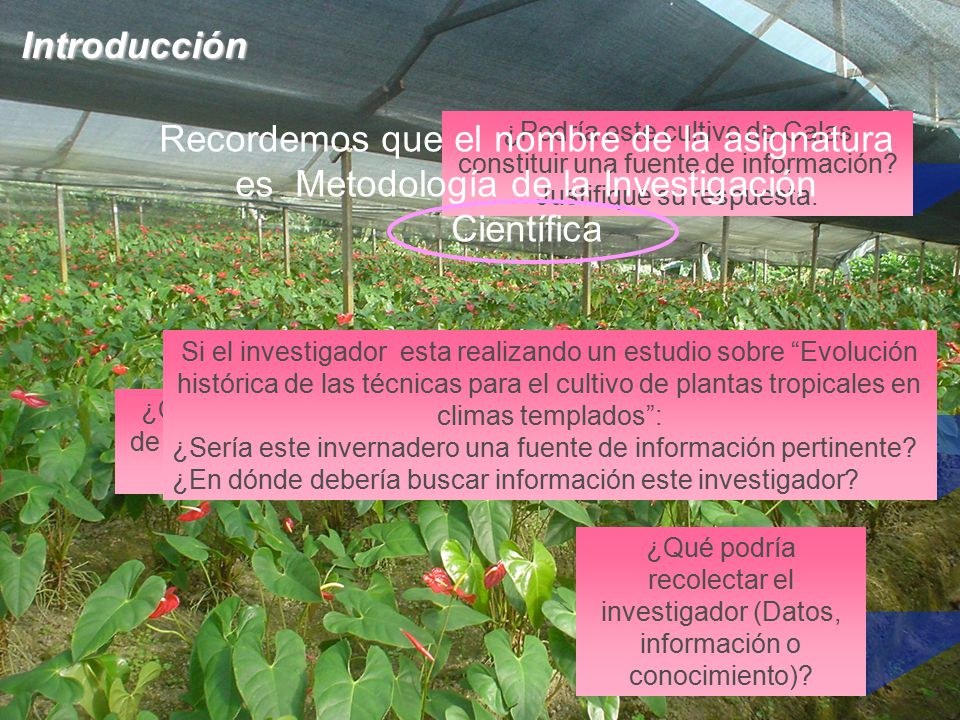 Introducción Recordemos que el nombre de la asignatura es Metodología de la Investigación Científica.