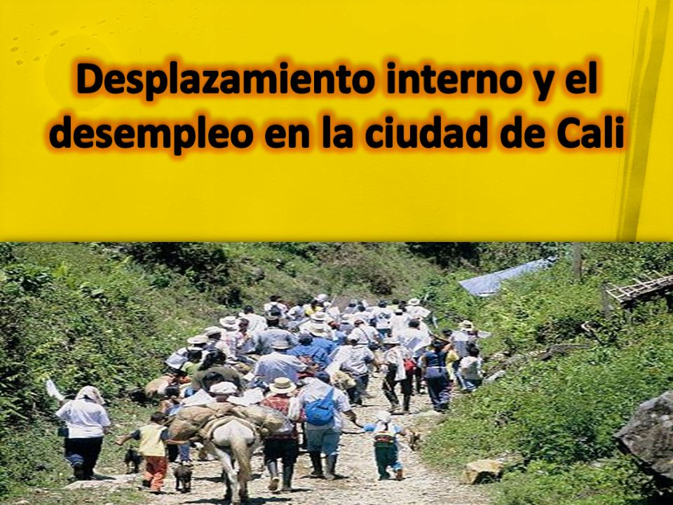 Desplazamiento interno y el desempleo en la ciudad de Cali