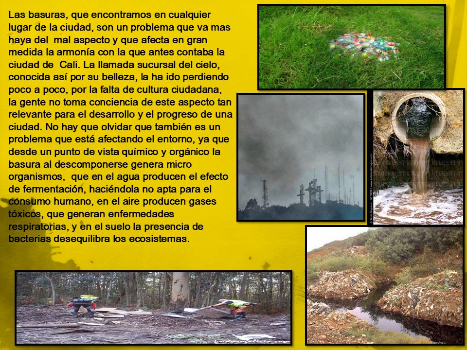 Las basuras, que encontramos en cualquier lugar de la ciudad, son un problema que va mas haya del mal aspecto y que afecta en gran medida la armonía con la que antes contaba la ciudad de Cali.