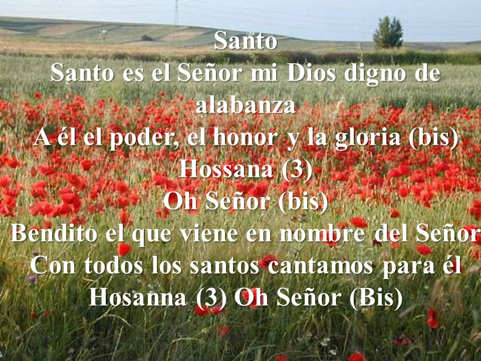 Santo es el Señor mi Dios digno de alabanza