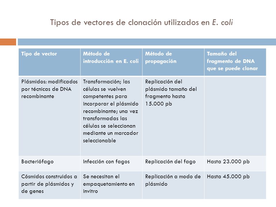 Tipos de vectores de clonación utilizados en E. coli