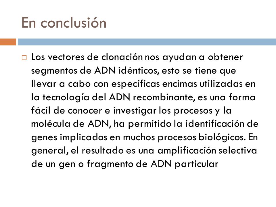 En conclusión