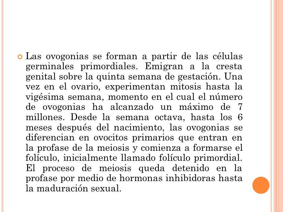 Las ovogonias se forman a partir de las células germinales primordiales.