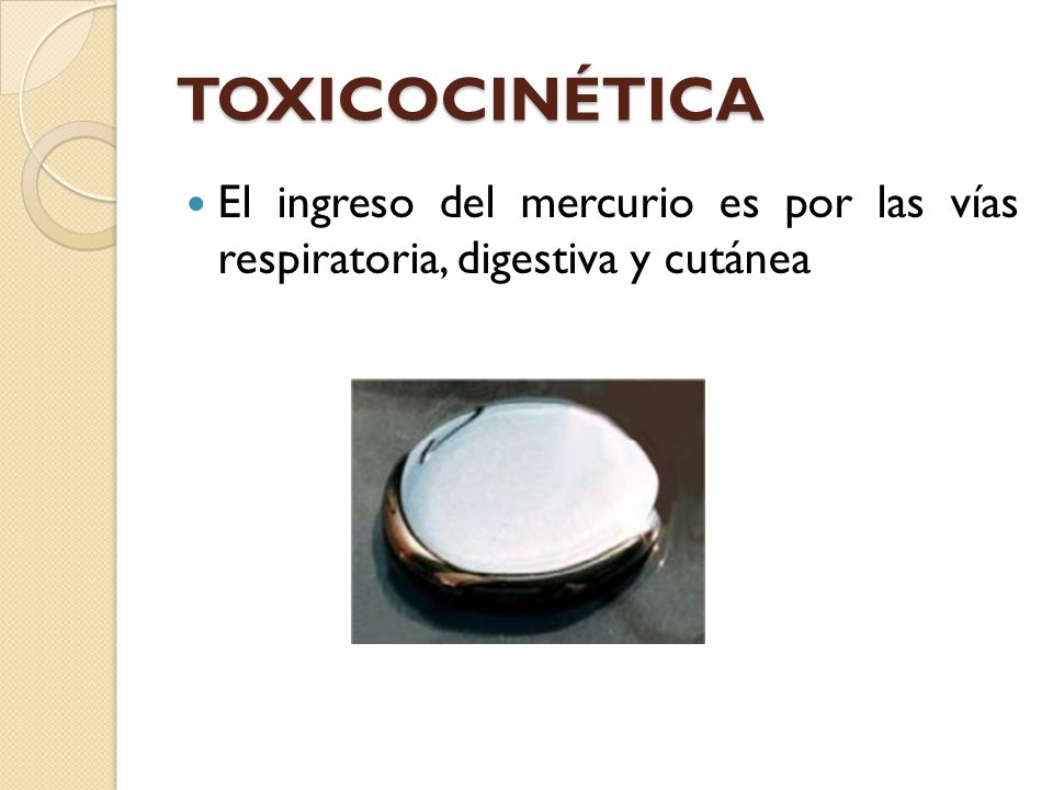 TOXICOCINÉTICA El ingreso del mercurio es por las vías respiratoria, digestiva y cutánea