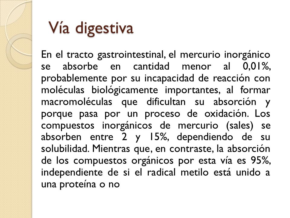Vía digestiva