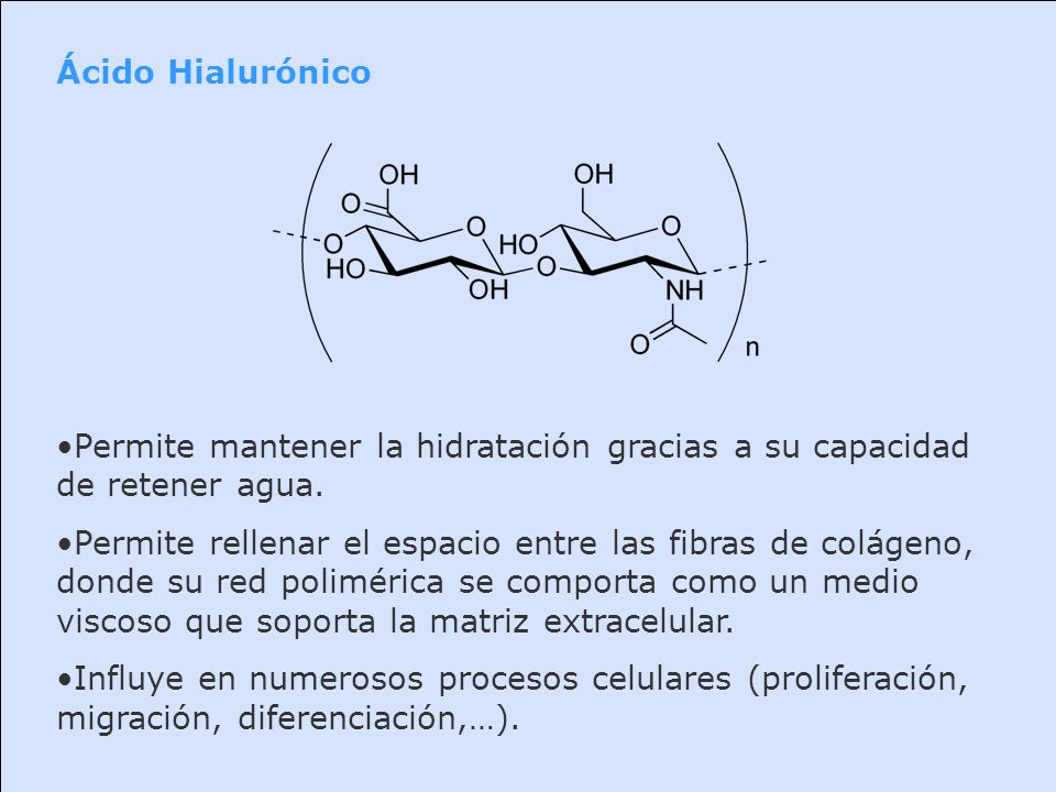 Ácido Hialurónico Permite mantener la hidratación gracias a su capacidad de retener agua.