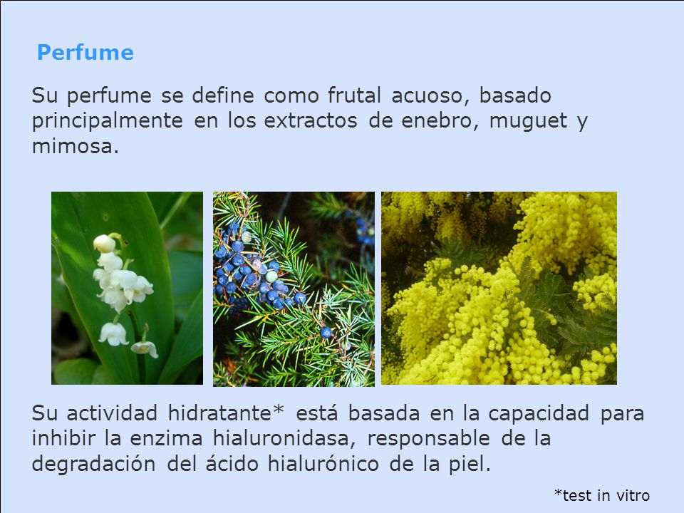 Perfume Su perfume se define como frutal acuoso, basado principalmente en los extractos de enebro, muguet y mimosa.