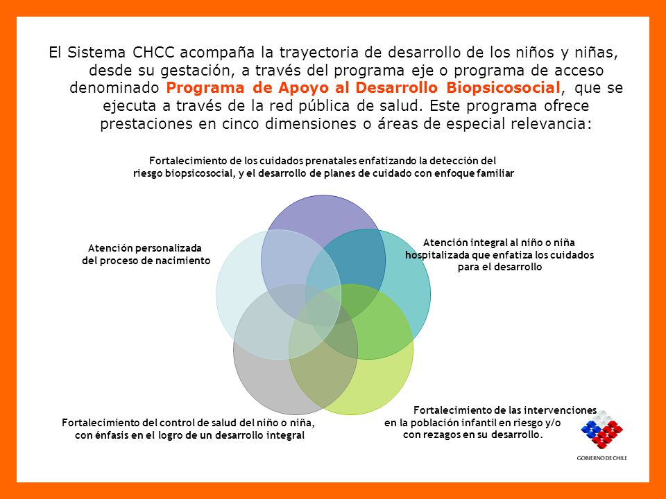 El Sistema CHCC acompaña la trayectoria de desarrollo de los niños y niñas, desde su gestación, a través del programa eje o programa de acceso denominado Programa de Apoyo al Desarrollo Biopsicosocial, que se ejecuta a través de la red pública de salud.