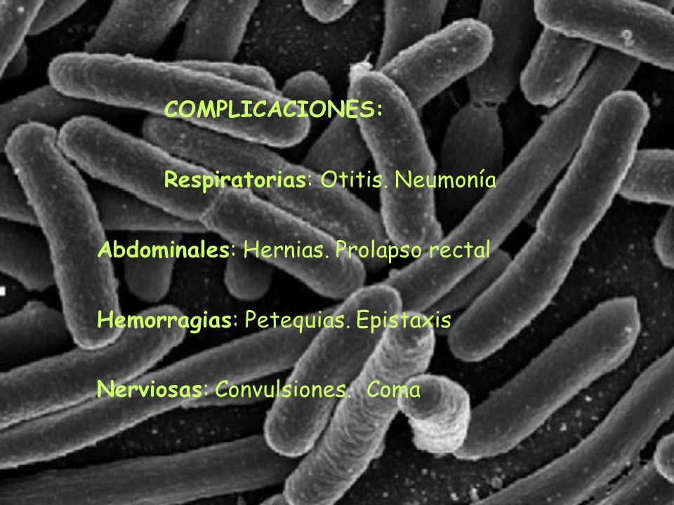 COMPLICACIONES: Respiratorias: Otitis. Neumonía. Abdominales: Hernias. Prolapso rectal. Hemorragias: Petequias. Epistaxis.