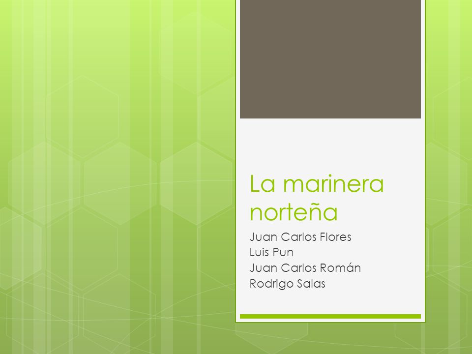 Juan Carlos Flores Luis Pun Juan Carlos Román Rodrigo Salas