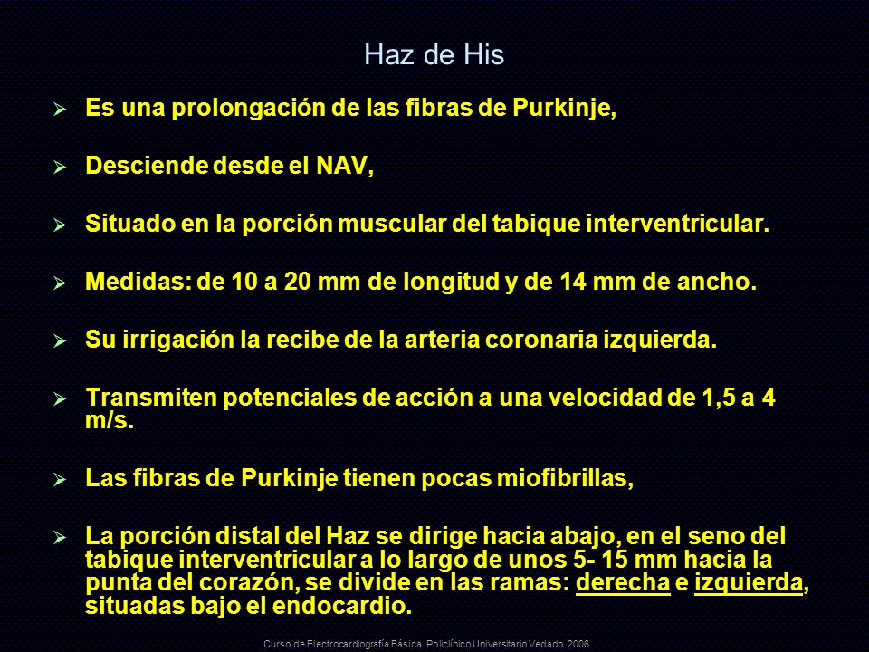 Haz de His Es una prolongación de las fibras de Purkinje,