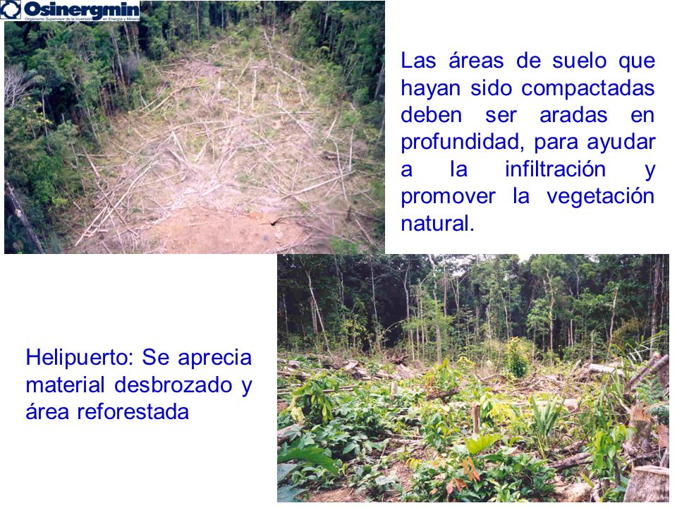 Las áreas de suelo que hayan sido compactadas deben ser aradas en profundidad, para ayudar a la infiltración y promover la vegetación natural.