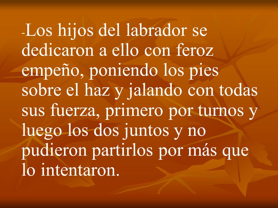 Los hijos del labrador se dedicaron a ello con feroz empeño, poniendo los pies sobre el haz y jalando con todas sus fuerza, primero por turnos y luego los dos juntos y no pudieron partirlos por más que lo intentaron.