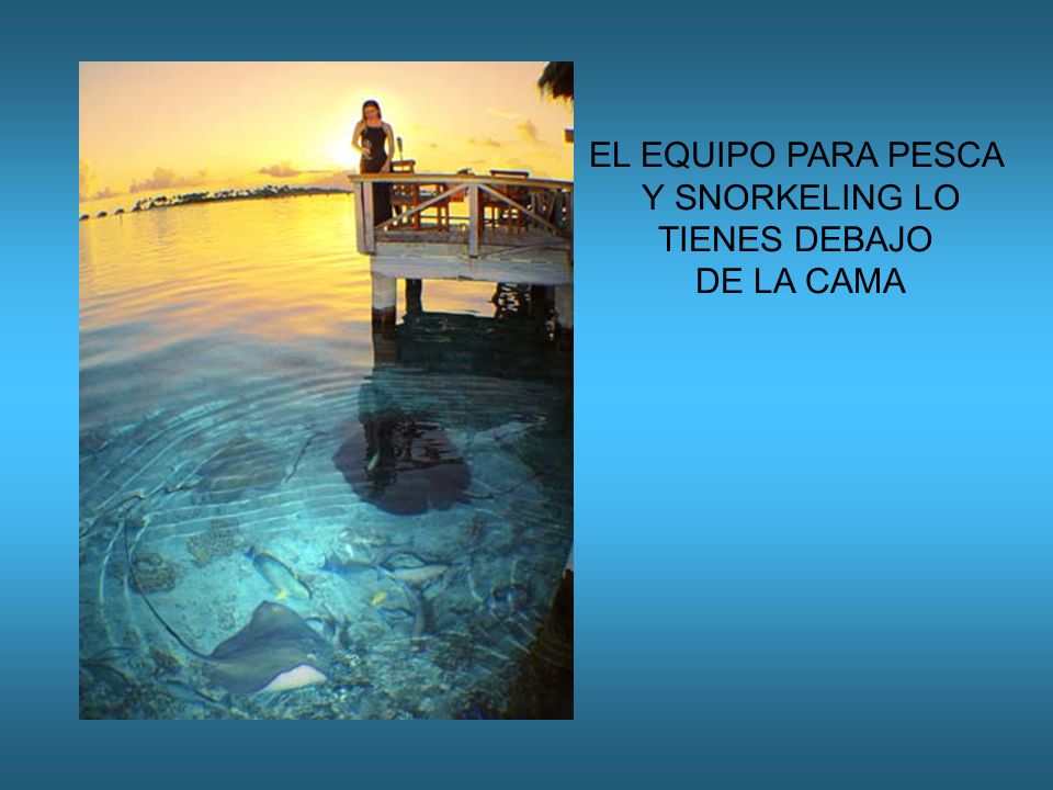 EL EQUIPO PARA PESCA Y SNORKELING LO TIENES DEBAJO DE LA CAMA