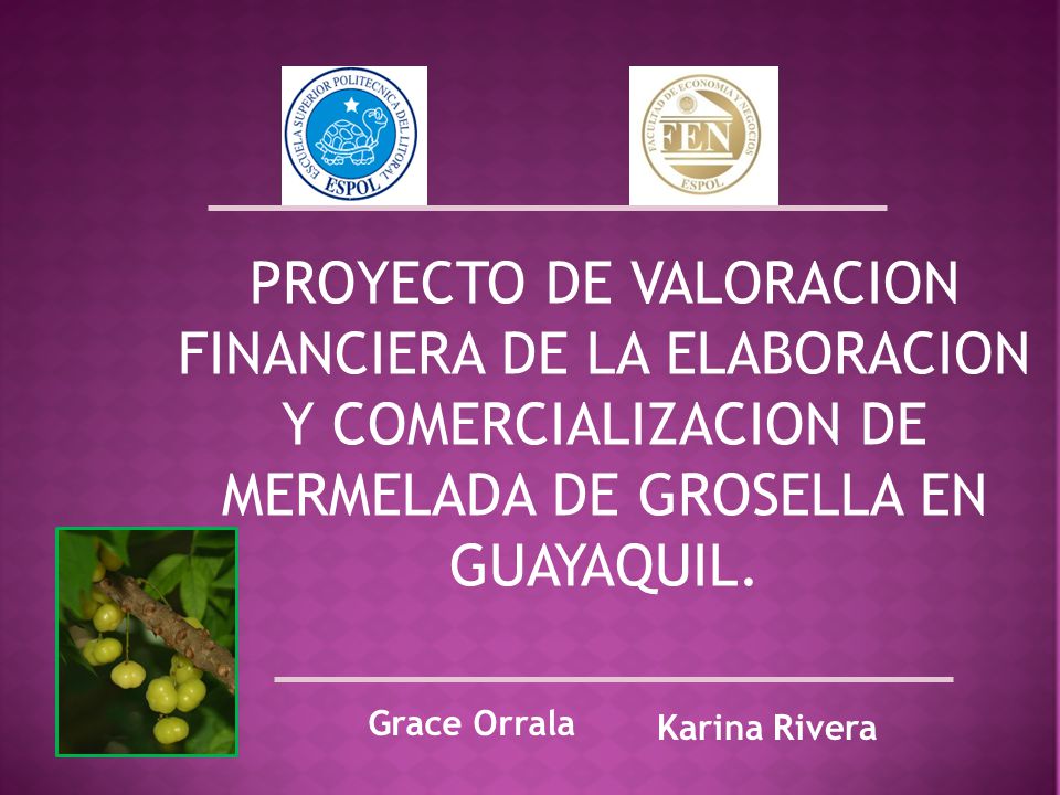 PROYECTO DE VALORACION FINANCIERA DE LA ELABORACION Y COMERCIALIZACION DE MERMELADA DE GROSELLA EN GUAYAQUIL.