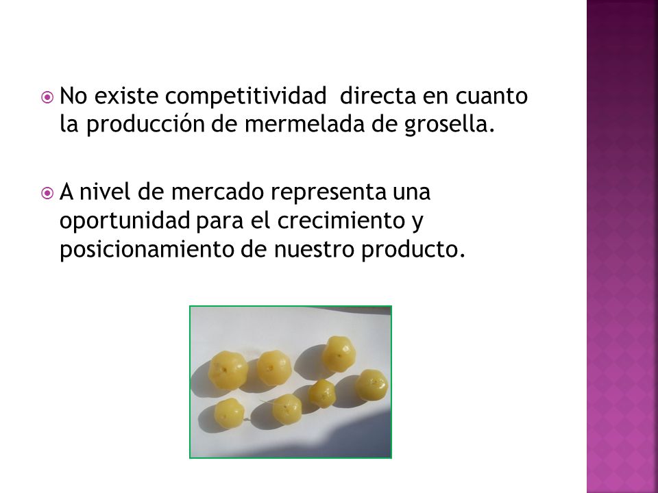 No existe competitividad directa en cuanto la producción de mermelada de grosella.