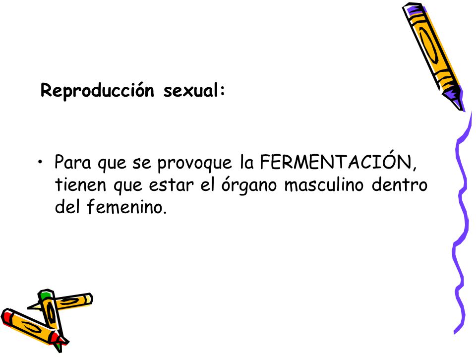 Reproducción sexual: Para que se provoque la FERMENTACIÓN, tienen que estar el órgano masculino dentro del femenino.
