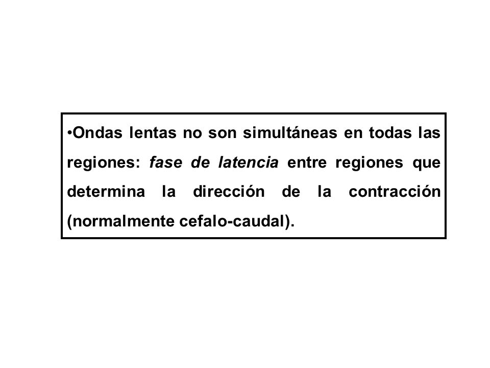 Ondas lentas no son simultáneas en todas las regiones: fase de latencia entre regiones que determina la dirección de la contracción (normalmente cefalo-caudal).