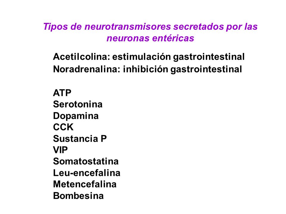 Tipos de neurotransmisores secretados por las neuronas entéricas