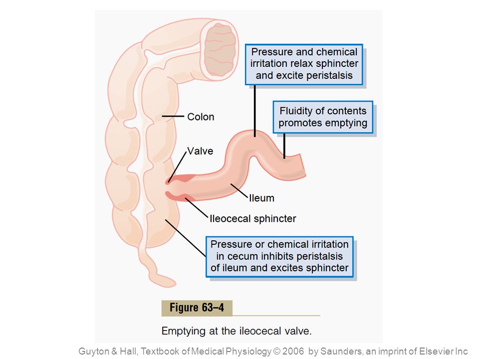 Guyton & Hall, Textbook of Medical Physiology © 2006 by Saunders, an imprint of Elsevier Inc