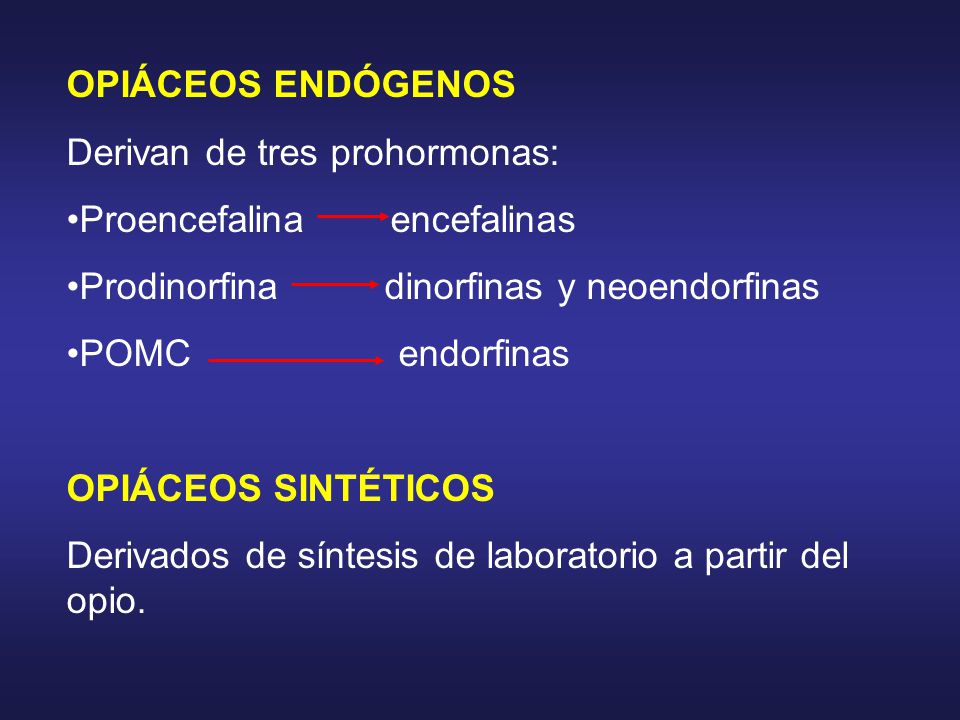 OPIÁCEOS ENDÓGENOS Derivan de tres prohormonas: Proencefalina encefalinas. Prodinorfina dinorfinas y neoendorfinas.