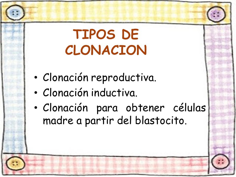 TIPOS DE CLONACION Clonación reproductiva. Clonación inductiva.