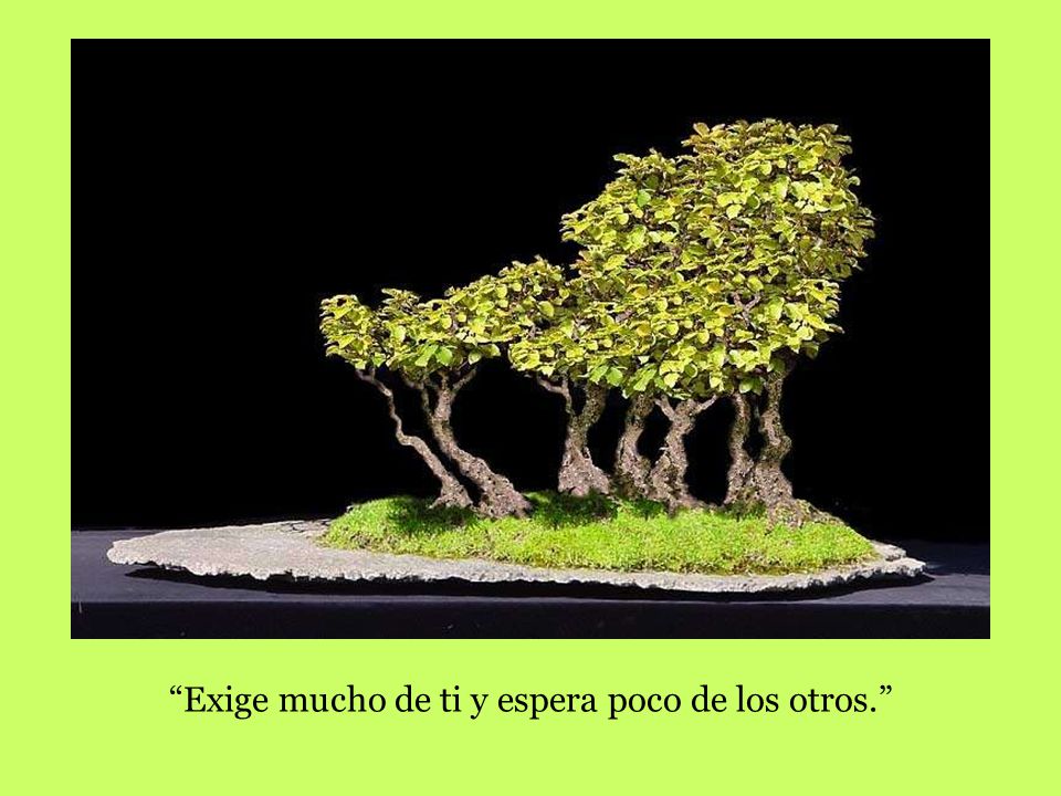 Exige mucho de ti y espera poco de los otros.