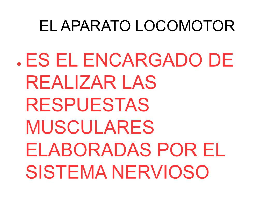 EL APARATO LOCOMOTOR ES EL ENCARGADO DE REALIZAR LAS RESPUESTAS MUSCULARES ELABORADAS POR EL SISTEMA NERVIOSO.