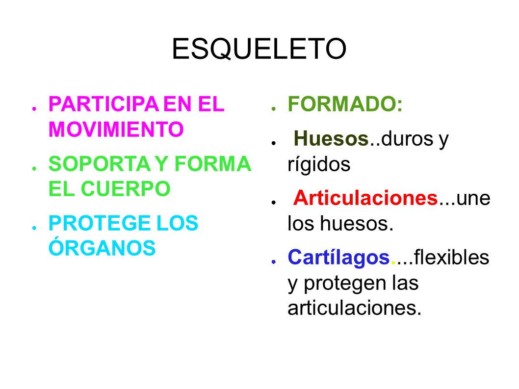 ESQUELETO PARTICIPA EN EL MOVIMIENTO SOPORTA Y FORMA EL CUERPO