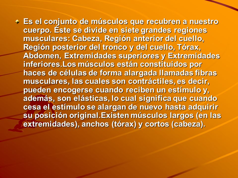 Es el conjunto de músculos que recubren a nuestro cuerpo
