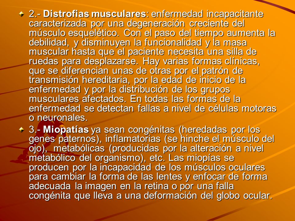 2.- Distrofias musculares: enfermedad incapacitante caracterizada por una degeneración creciente del músculo esquelético. Con el paso del tiempo aumenta la debilidad, y disminuyen la funcionalidad y la masa muscular hasta que el paciente necesita una silla de ruedas para desplazarse. Hay varias formas clínicas, que se diferencian unas de otras por el patrón de transmisión hereditaria, por la edad de inicio de la enfermedad y por la distribución de los grupos musculares afectados. En todas las formas de la enfermedad se detectan fallas a nivel de células motoras o neuronales.