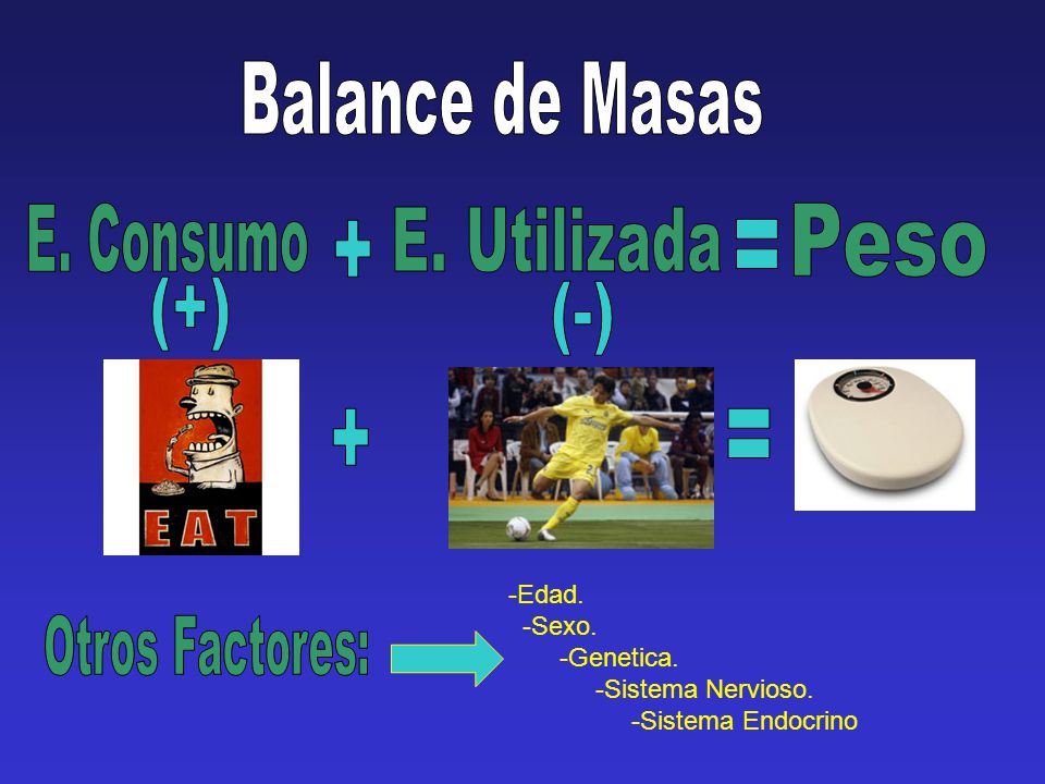 Balance de Masas E. Consumo E. Utilizada Peso + = (+) (-) + =