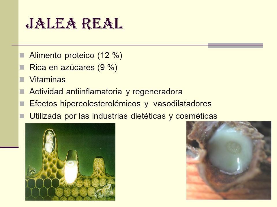 Jalea real Alimento proteico (12 %) Rica en azúcares (9 %) Vitaminas