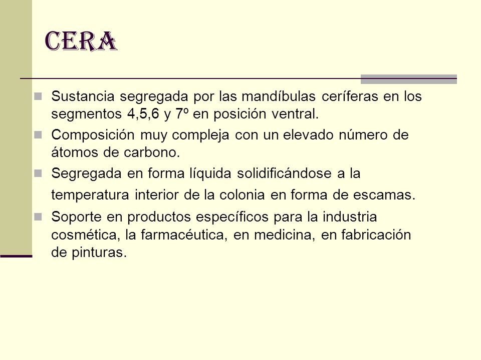 cera Sustancia segregada por las mandíbulas ceríferas en los segmentos 4,5,6 y 7º en posición ventral.