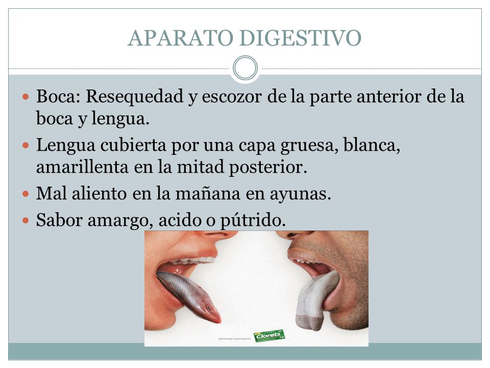 APARATO DIGESTIVO Boca: Resequedad y escozor de la parte anterior de la boca y lengua.